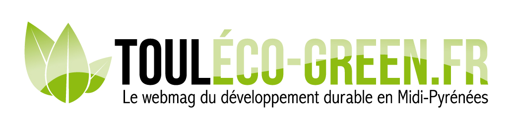 NEW logo touleco green