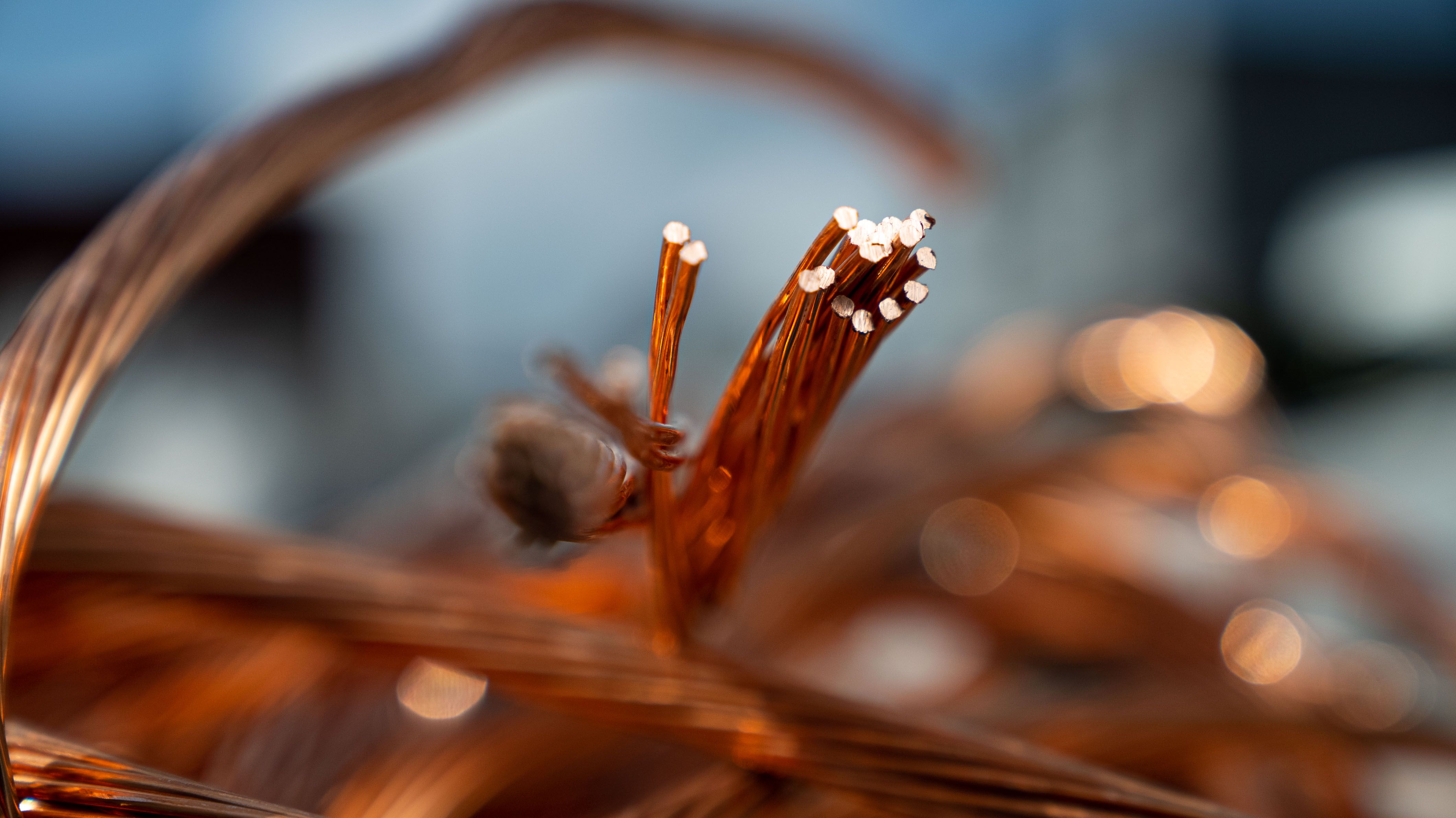 This image shows a cluster of copper wires